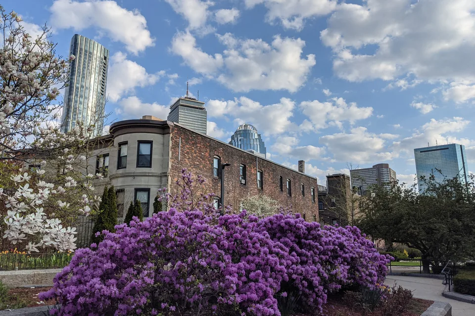 The Southwest Corridor park in Boston with flowers in bloom and towers behind.